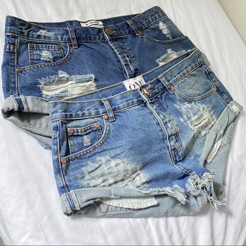 One Teaspoon Bandits Bundle